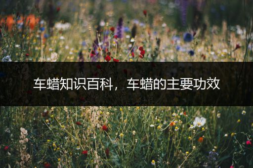 车蜡知识百科，车蜡的主要功效