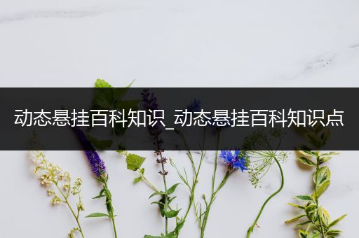 动态悬挂百科知识_动态悬挂百科知识点