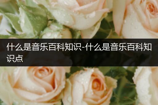 什么是音乐百科知识-什么是音乐百科知识点