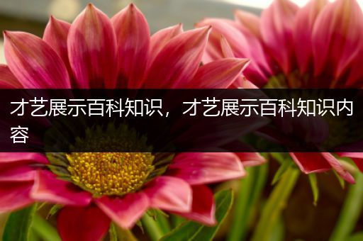 才艺展示百科知识，才艺展示百科知识内容