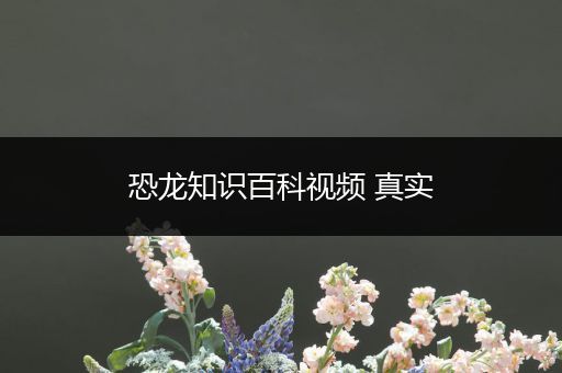 恐龙知识百科视频 真实
