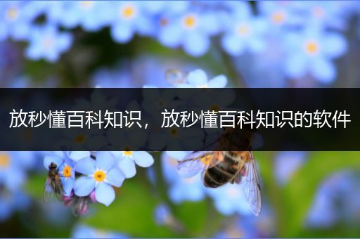 放秒懂百科知识，放秒懂百科知识的软件