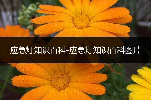 应急灯知识百科-应急灯知识百科图片