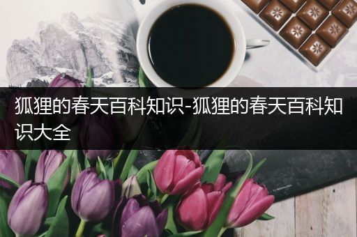 狐狸的春天百科知识-狐狸的春天百科知识大全