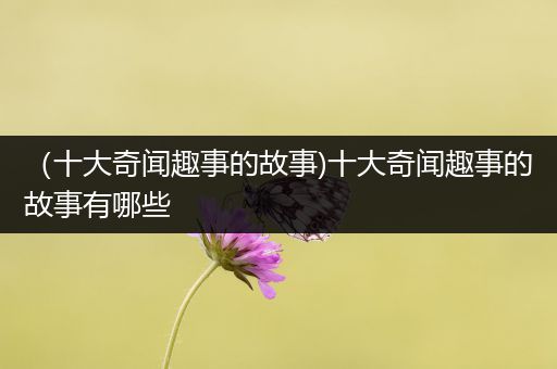 （十大奇闻趣事的故事)十大奇闻趣事的故事有哪些