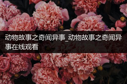 动物故事之奇闻异事_动物故事之奇闻异事在线观看