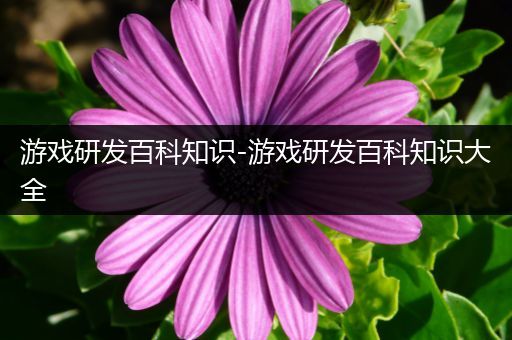 游戏研发百科知识-游戏研发百科知识大全