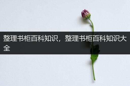 整理书柜百科知识，整理书柜百科知识大全