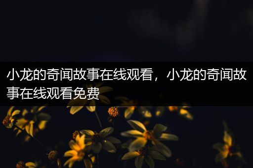 小龙的奇闻故事在线观看，小龙的奇闻故事在线观看免费