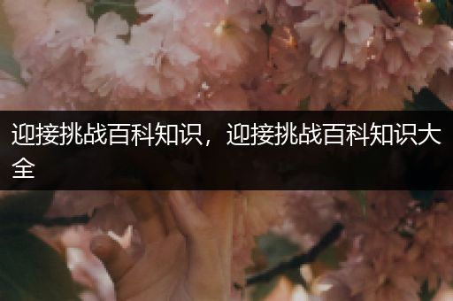 迎接挑战百科知识，迎接挑战百科知识大全