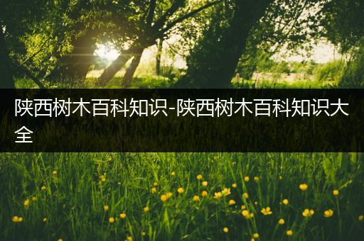 陕西树木百科知识-陕西树木百科知识大全