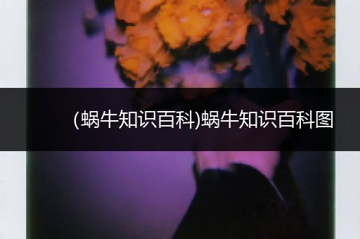 （蜗牛知识百科)蜗牛知识百科图