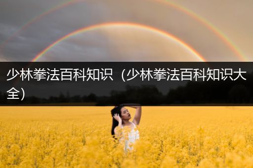 少林拳法百科知识（少林拳法百科知识大全）