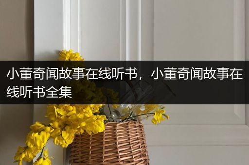 小董奇闻故事在线听书，小董奇闻故事在线听书全集