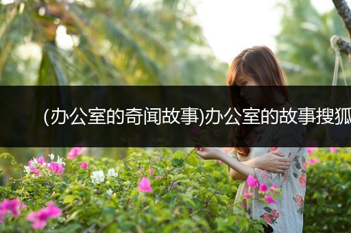 （办公室的奇闻故事)办公室的故事搜狐