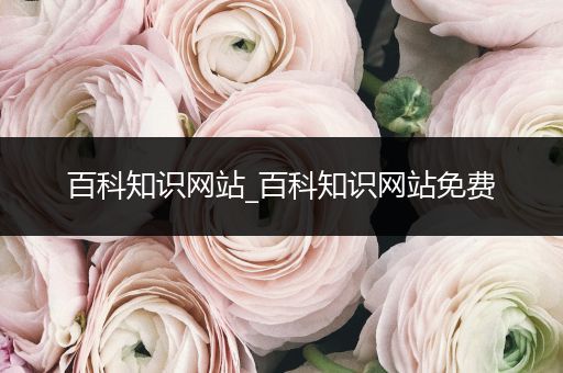 百科知识网站_百科知识网站免费