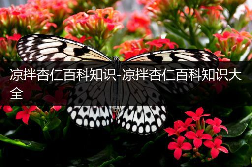 凉拌杏仁百科知识-凉拌杏仁百科知识大全