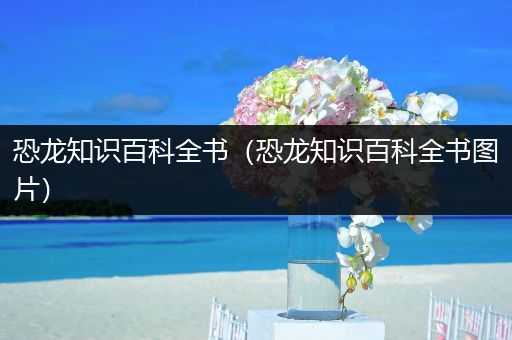 恐龙知识百科全书（恐龙知识百科全书图片）