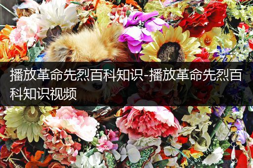 播放革命先烈百科知识-播放革命先烈百科知识视频