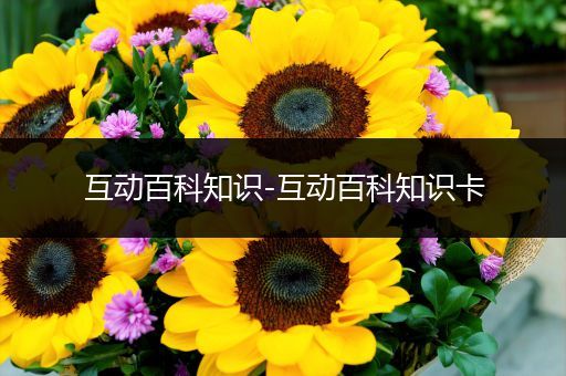 互动百科知识-互动百科知识卡