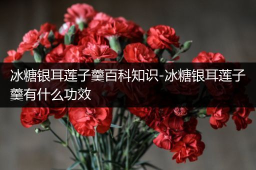 冰糖银耳莲子羹百科知识-冰糖银耳莲子羹有什么功效