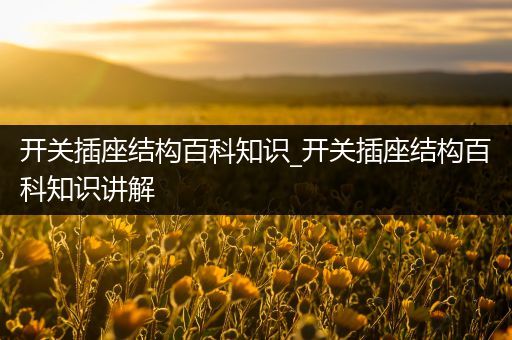 开关插座结构百科知识_开关插座结构百科知识讲解