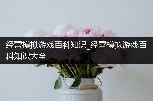 经营模拟游戏百科知识_经营模拟游戏百科知识大全