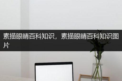 素描眼睛百科知识，素描眼睛百科知识图片