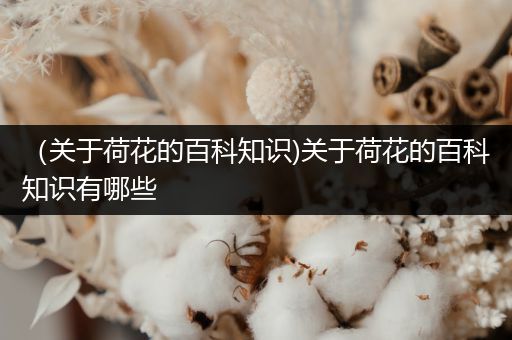 （关于荷花的百科知识)关于荷花的百科知识有哪些