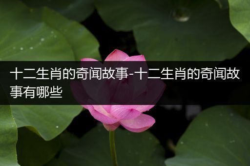 十二生肖的奇闻故事-十二生肖的奇闻故事有哪些