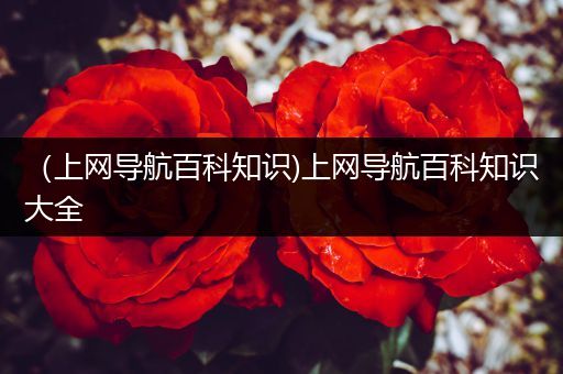 （上网导航百科知识)上网导航百科知识大全