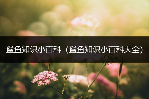 鲨鱼知识小百科（鲨鱼知识小百科大全）