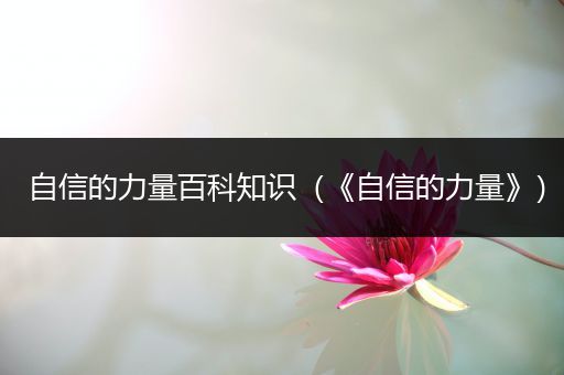 自信的力量百科知识（《自信的力量》）