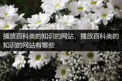 播放百科类的知识的网站，播放百科类的知识的网站有哪些