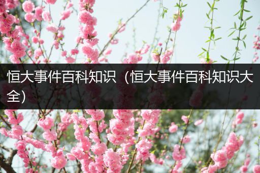 恒大事件百科知识（恒大事件百科知识大全）