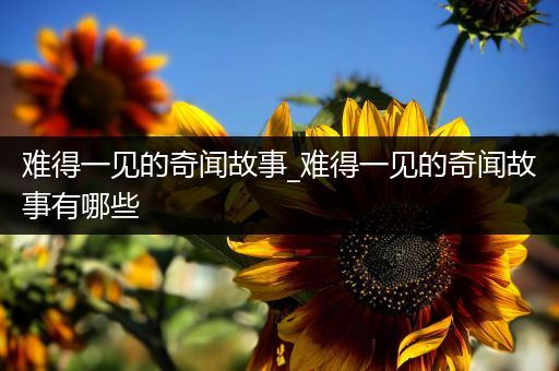 难得一见的奇闻故事_难得一见的奇闻故事有哪些