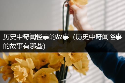 历史中奇闻怪事的故事（历史中奇闻怪事的故事有哪些）