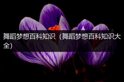 舞蹈梦想百科知识（舞蹈梦想百科知识大全）