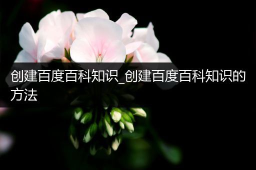 创建百度百科知识_创建百度百科知识的方法