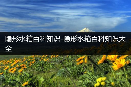 隐形水箱百科知识-隐形水箱百科知识大全