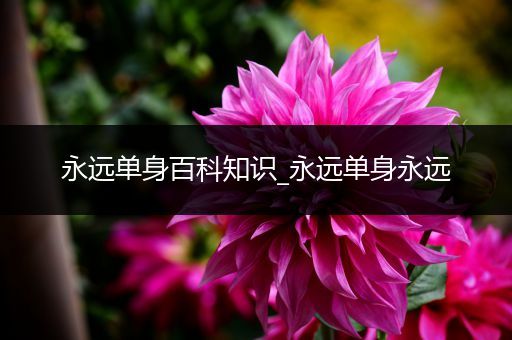 永远单身百科知识_永远单身永远