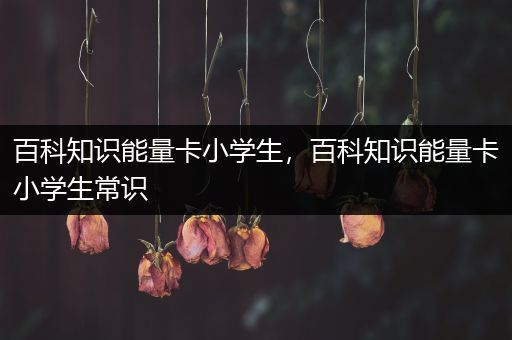 百科知识能量卡小学生，百科知识能量卡小学生常识