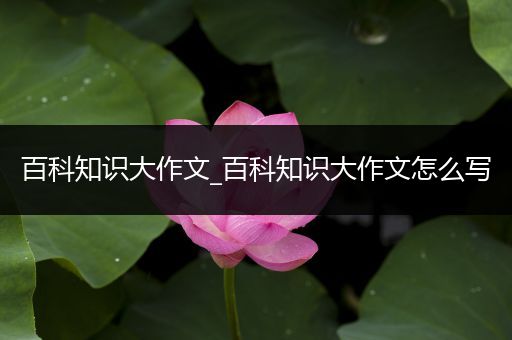 百科知识大作文_百科知识大作文怎么写
