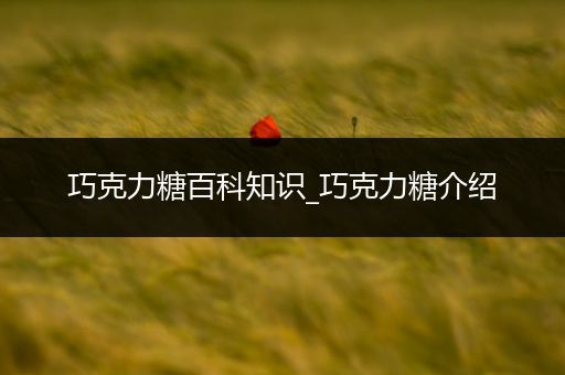 巧克力糖百科知识_巧克力糖介绍