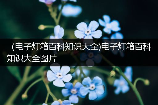 （电子灯箱百科知识大全)电子灯箱百科知识大全图片