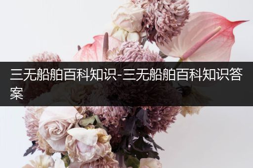 三无船舶百科知识-三无船舶百科知识答案