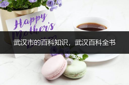 武汉市的百科知识，武汉百科全书