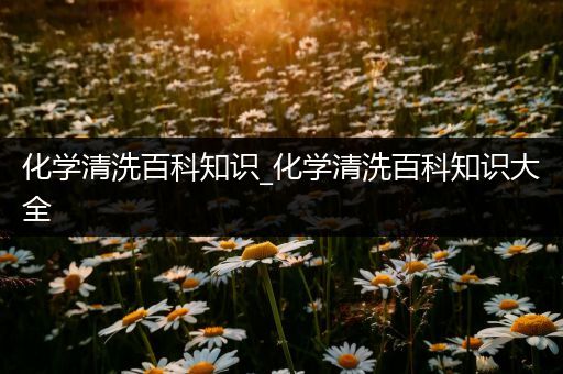 化学清洗百科知识_化学清洗百科知识大全