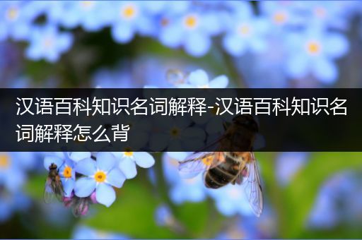 汉语百科知识名词解释-汉语百科知识名词解释怎么背