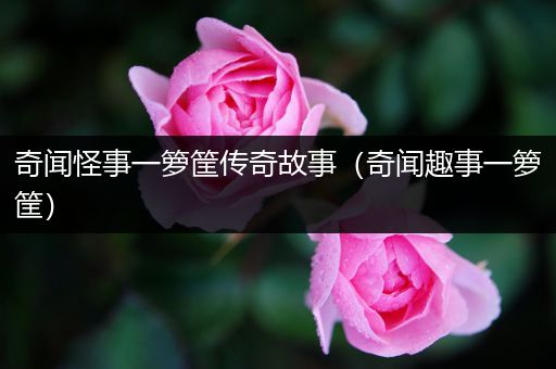 奇闻怪事一箩筐传奇故事（奇闻趣事一箩筐）